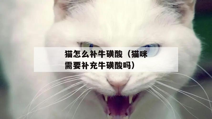 猫怎么补牛磺酸(猫咪需要补充牛磺酸吗)