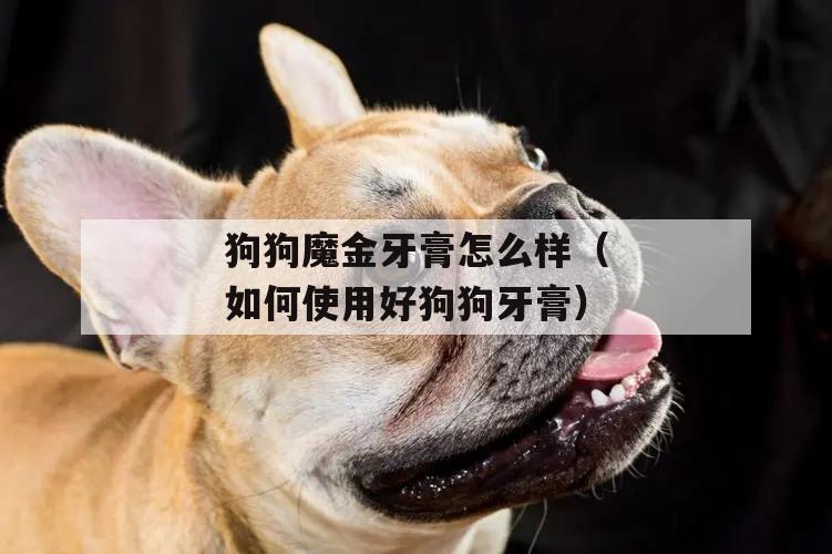 狗狗魔金牙膏怎么样(如何使用(yòng)好狗狗牙膏)