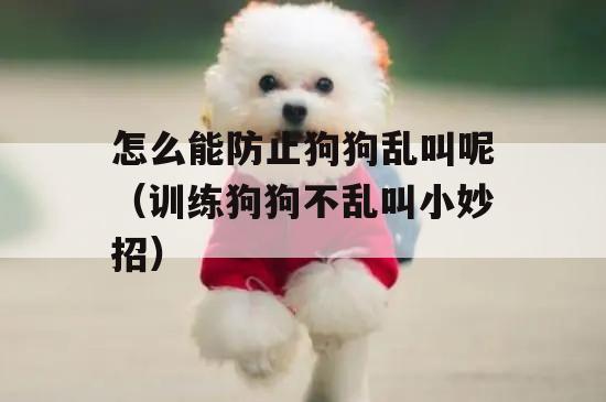 怎么能(néng)防止狗狗乱叫呢(ne)(训练狗狗不乱叫小(xiǎo)妙招)