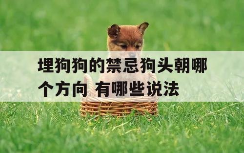 埋狗狗的禁忌狗头朝哪个方向 有(yǒu)哪些说法