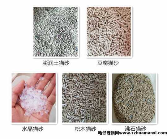 性价比高的猫砂推荐(平价又(yòu)好用(yòng)的猫砂推荐)