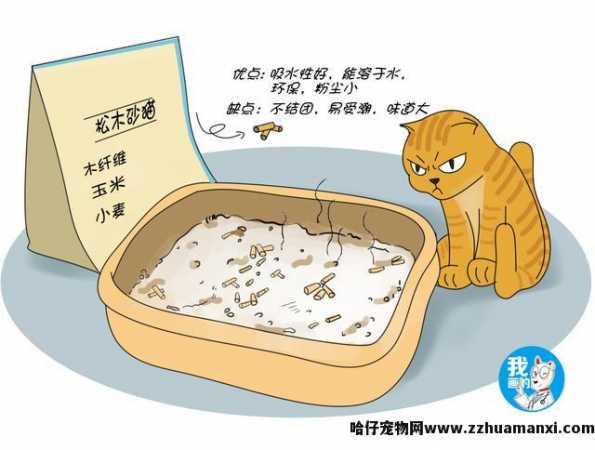 性价比高的猫砂推荐(平价又(yòu)好用(yòng)的猫砂推荐)