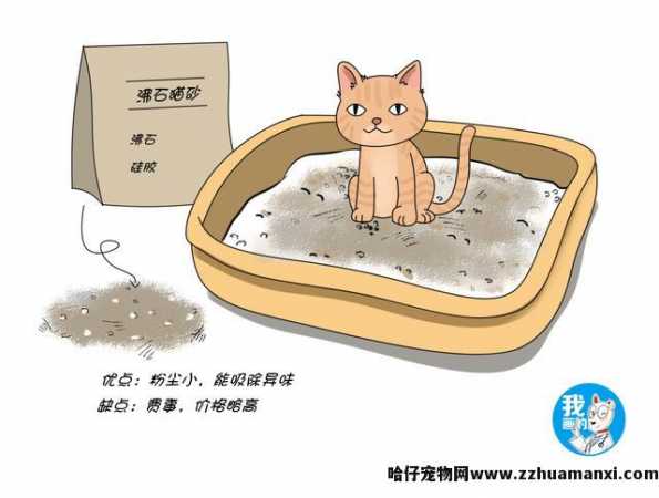 性价比高的猫砂推荐(平价又(yòu)好用(yòng)的猫砂推荐)