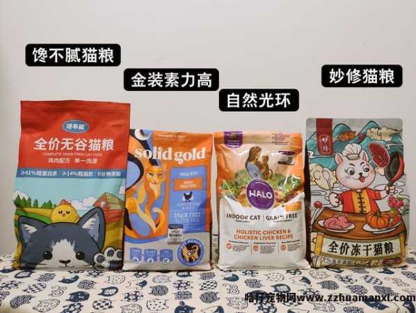 抱猫的正确姿势图解(抱猫的正确姿势图片)