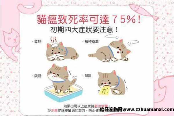 fpv猫瘟检测卡怎么看(fpv猫瘟检测卡怎么用(yòng))