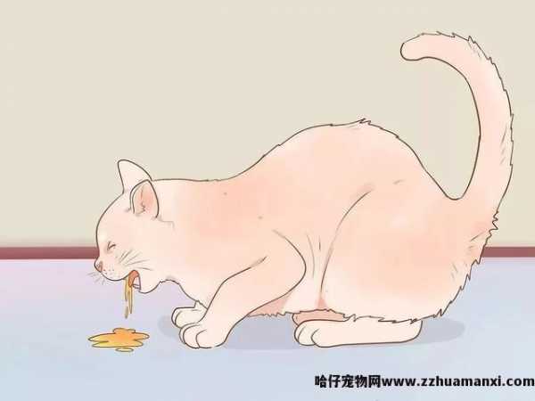 fpv猫瘟检测卡怎么看(fpv猫瘟检测卡怎么用(yòng))