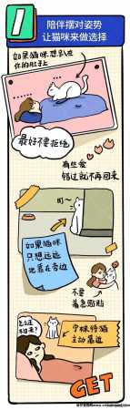 怎么逗猫咪玩开心(如何逗猫咪开心)