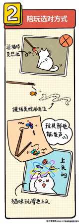怎么逗猫咪玩开心(如何逗猫咪开心)