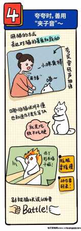 怎么逗猫咪玩开心(如何逗猫咪开心)