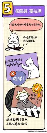 怎么逗猫咪玩开心(如何逗猫咪开心)