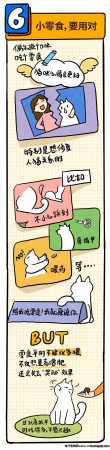 怎么逗猫咪玩开心(如何逗猫咪开心)