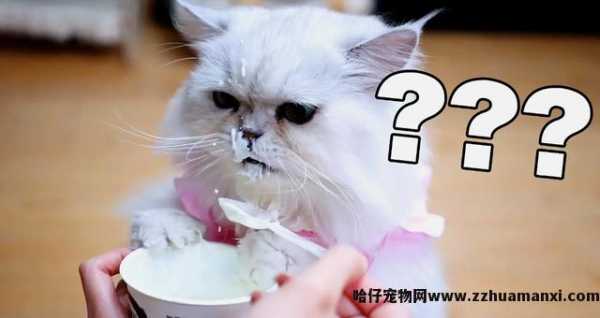 猫能(néng)吃玉米粒吗(宠物(wù)猫能(néng)吃玉米粒吗)