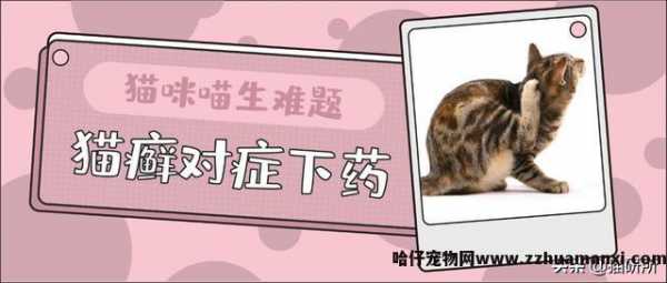 猫藓用(yòng)什么药(猫藓用(yòng)什么药最有(yǒu)效)