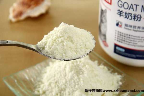 猫能(néng)喝(hē)羊奶吗(成年猫能(néng)喝(hē)羊奶吗)