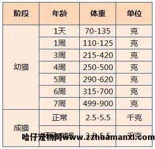 猫體(tǐ)重多(duō)少正常(成年公猫體(tǐ)重多(duō)少正常)