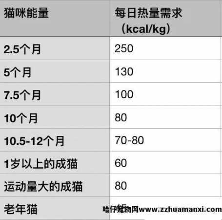 猫體(tǐ)重多(duō)少正常(成年公猫體(tǐ)重多(duō)少正常)