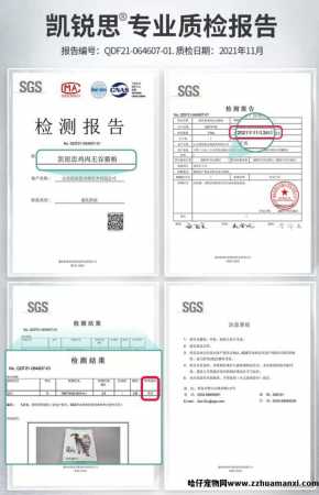 凯锐思猫粮品牌怎么样(凯锐思猫粮到底怎么样)