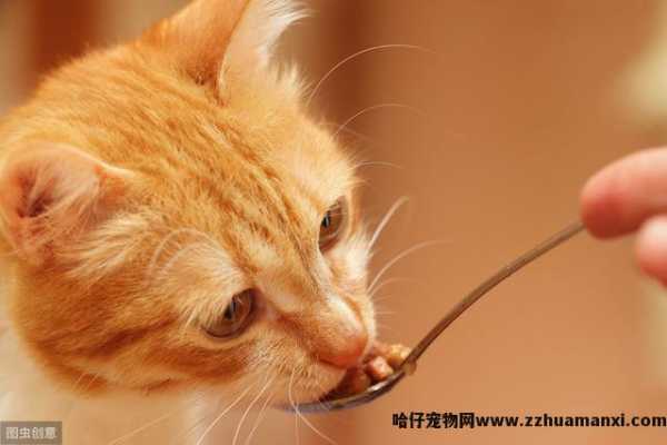 小(xiǎo)猫不停的叫还蹭你腿是為(wèi)什么(小(xiǎo)猫蹭腿一直叫)