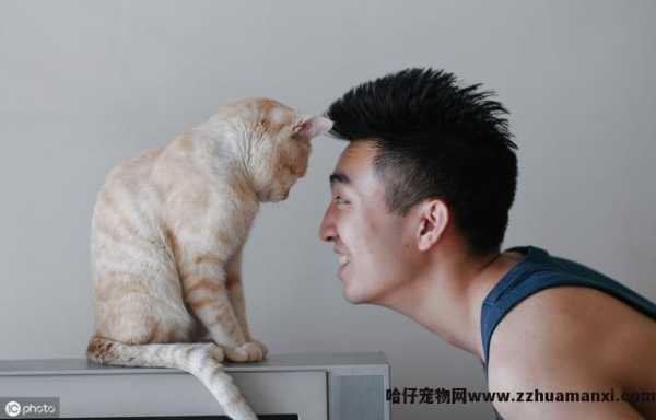 小(xiǎo)猫不停的叫还蹭你腿是為(wèi)什么(小(xiǎo)猫蹭腿一直叫)