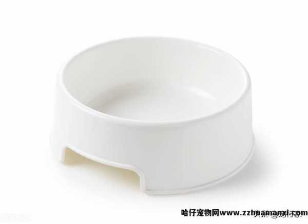 猫咪饮水机有(yǒu)必要吗(猫咪饮水机真的有(yǒu)用(yòng)吗)