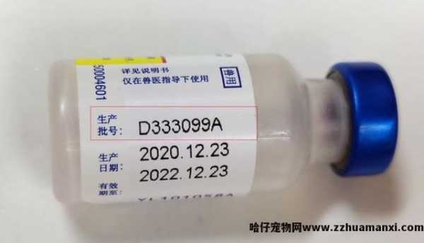猫瘟试纸怎么用(yòng)(萌氏猫瘟试纸怎么用(yòng))