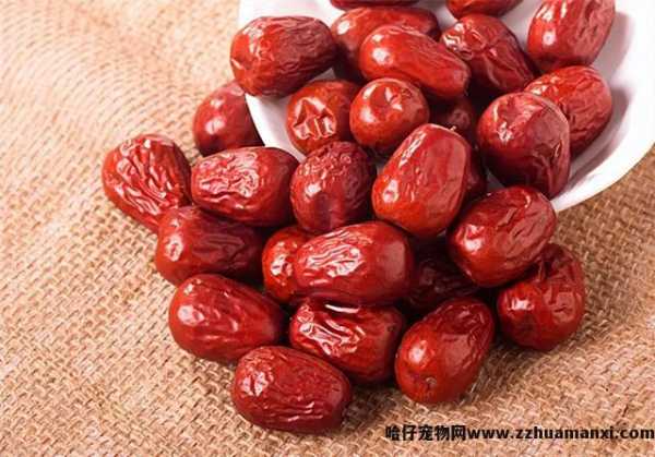 猫可(kě)以吃板栗吗(宠物(wù)猫可(kě)以吃板栗吗)