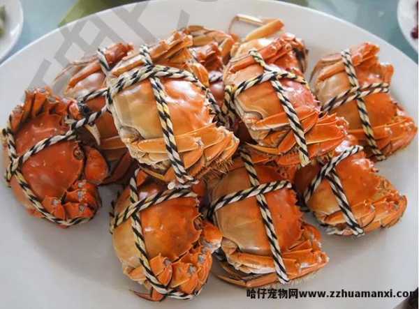 猫可(kě)以吃板栗吗(宠物(wù)猫可(kě)以吃板栗吗)