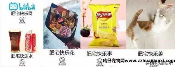 猫能(néng)吃巧克力不(巧克力猫可(kě)以吃吗)