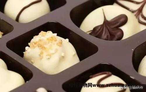 猫能(néng)吃巧克力不(巧克力猫可(kě)以吃吗)