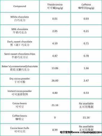 猫能(néng)吃巧克力不(巧克力猫可(kě)以吃吗)