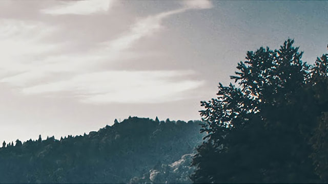 重庆圣心动物(wù)医院怎么样(圣心动物(wù)医院電(diàn)话)